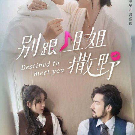 Destined to Meet You (2022)