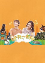 Paws Guardian Angels Hong Kong TV Program photo