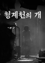 A Cheonggyecheon Dog Korean Movie photo