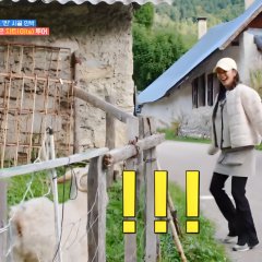 Europe Outside Your Tent: Southern France Korean TV Program photo
