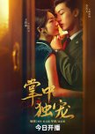 Palms on Love chinese drama review