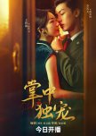 Short Chinese Shows To Watch Soon