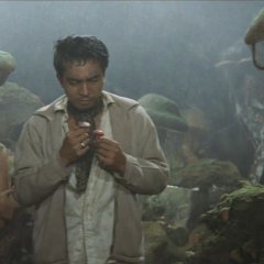 Matango Japanese Movie photo