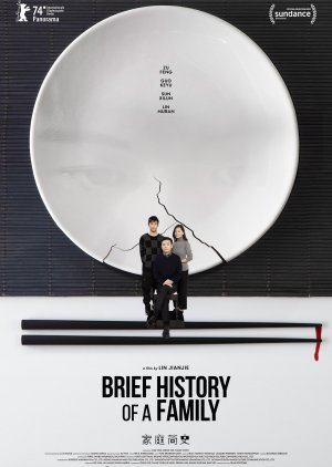 Brief History of a Family (2024) poster