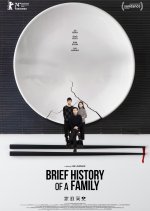 Brief History of a Family Chinese Movie photo