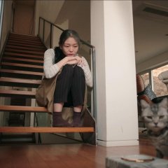 Microhabitat Korean Movie photo