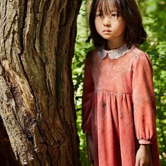 The Mimic Korean Movie photo