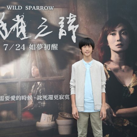 Wild Sparrow (2020)