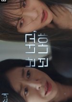 Clone Girl Korean Drama photo