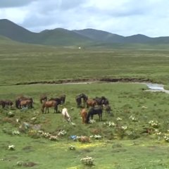 Xiu Xiu: The Sent Down Girl Chinese Movie photo