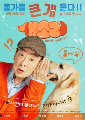 Dog Knows Everything (2024) poster