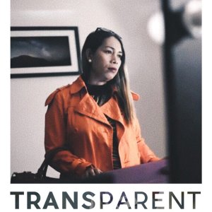 TransParent (2016)