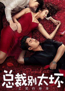 image poster from imdb - ​Young President and His Contract Wife (2018)