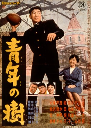 Seinen no Ki (1960) poster