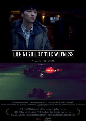 The Night of the Witness (2012) poster