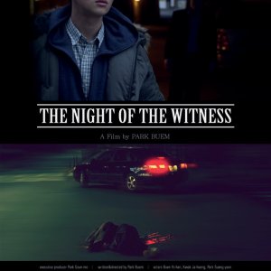 The Night of the Witness (2012)