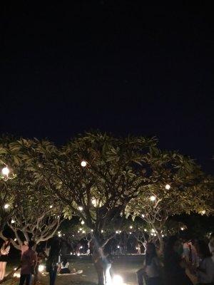 elsamariesong