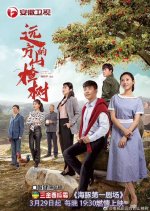 Under the Hawthorn Tree (2010) - MyDramaList