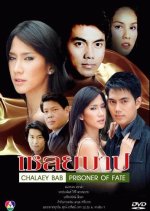 Chaloey Barb Thai Drama photo