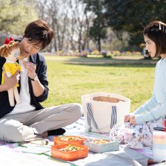 The Reason Why He Can’t Marry Japanese Drama photo