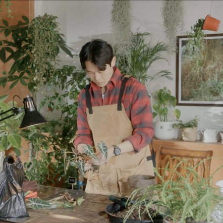 Plant Cafe, Warmth (2021)