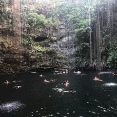 Cenote Japanese Movie photo