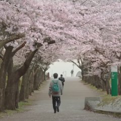 ReLIFE Japanese Movie photo