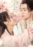 Special Lady chinese drama review