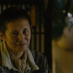 Vision Japanese Movie photo