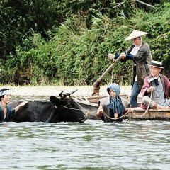 They Say Nothing Stays the Same (2019) photo