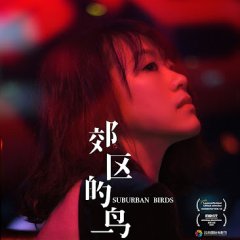 Suburban Birds Chinese Movie photo