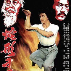 Snake in the Eagle's Shadow (1978) - MyDramaList