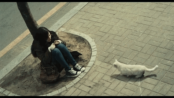 Park Min Young looking scared in front of a cat