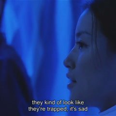 Kakuto Japanese Movie photo