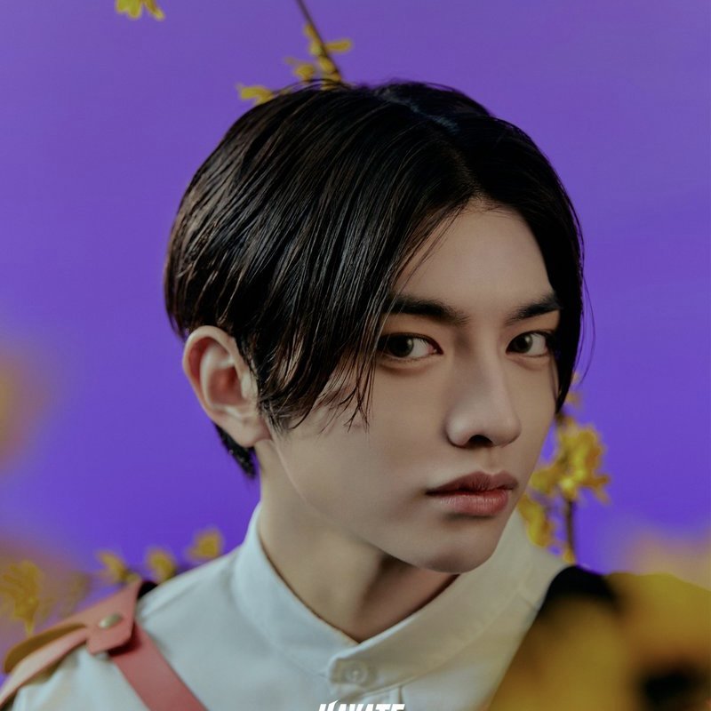 HAYATE WILD BLUE LIVE TOUR 2025 うちわ 宮武颯 HAYATE] 星空綺麗な