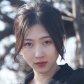 Chen Jian Ying