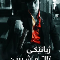 A Bittersweet Life (2005) photo