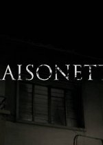 Maisonette Singaporean Drama photo