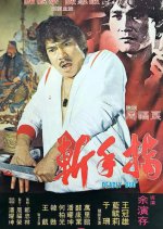 Deadly Duo Taiwanese Movie photo