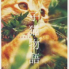 The Adventures of Milo and Otis Japanese Movie photo