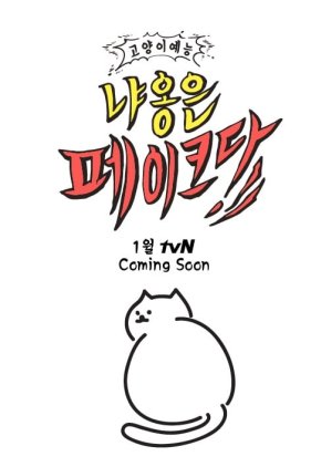 Decoding Meow (2020) poster