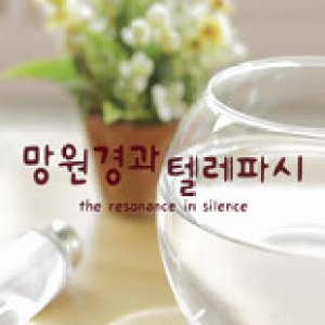 The Resonance in Silence (2012)