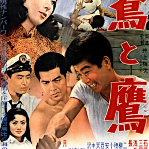 The Eagle and the Hawk (1957)