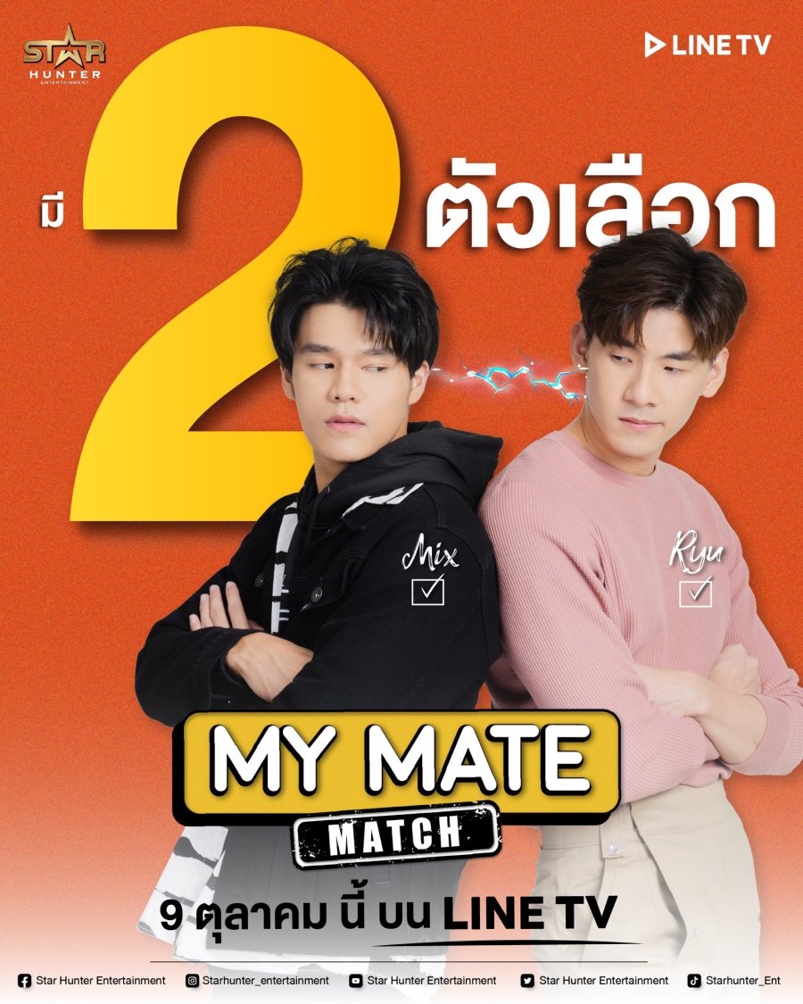 Series the mate my match