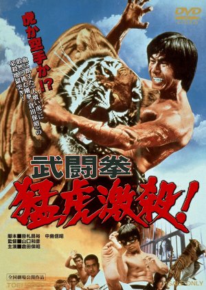 Which Is Stronger, Karate or Tiger (1976) poster