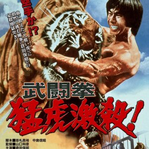 Which Is Stronger, Karate or Tiger (1976)