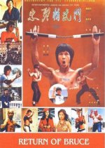 Return of Bruce Hong Kong Movie photo