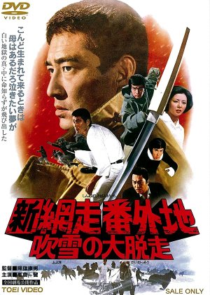 Shin Abashiri Bangaichi: Fubuki no Daidasso (1971) poster