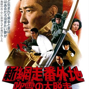 Shin Abashiri Bangaichi: Fubuki no Daidasso (1971)