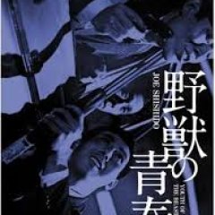 Youth of the Beast Japanese Movie photo